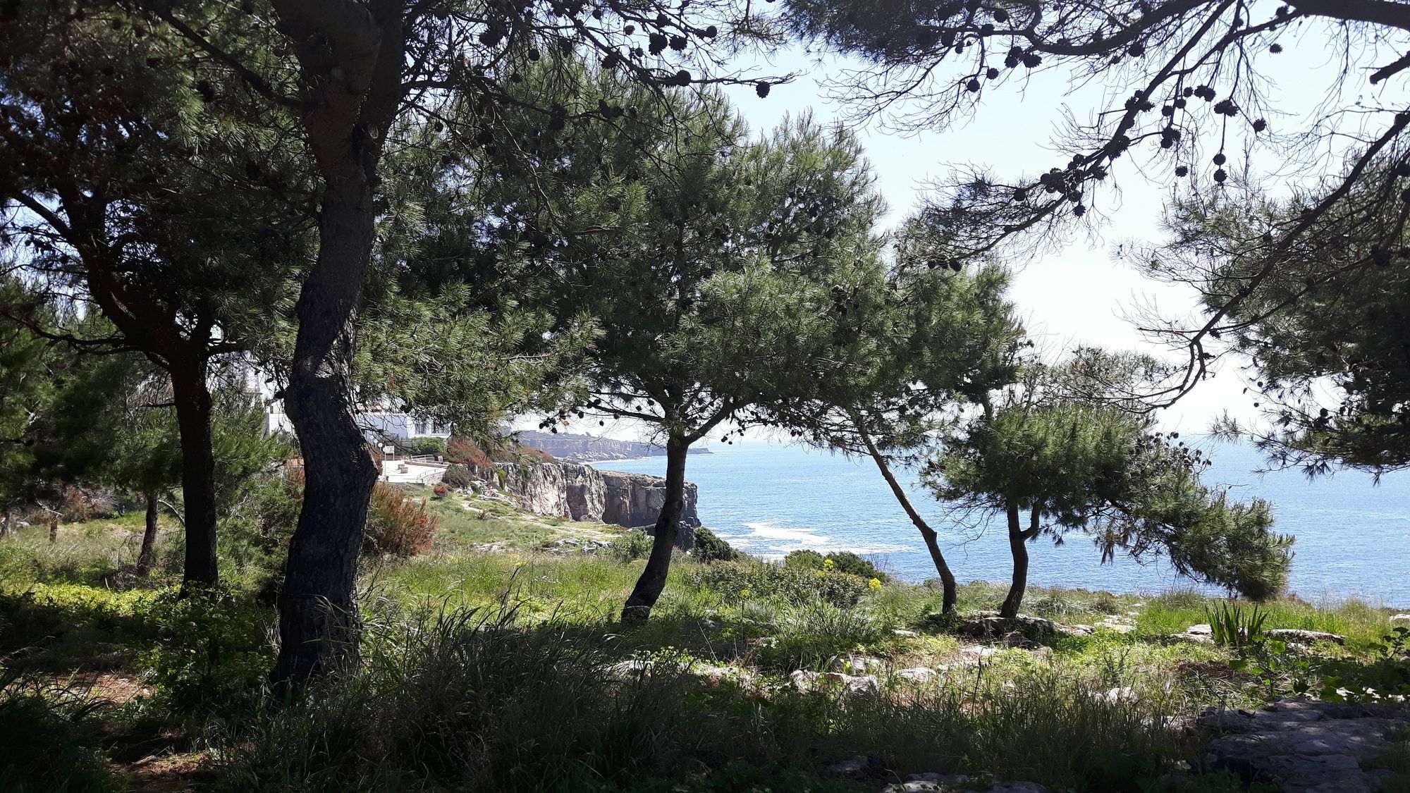 Charming Villa Golf & Beach Cascais Ngoại thất bức ảnh